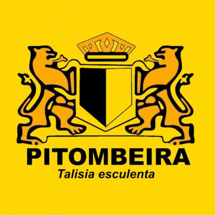 Pitombeira Dos Quatros Cantos
